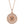 Load image into Gallery viewer, Circle Signet Diamond Halo Necklace
