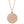 Load image into Gallery viewer, Circle Signet Diamond Halo Necklace
