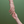 Load image into Gallery viewer, Stationary Three Stone Petite Band