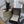 Load image into Gallery viewer, 8 mm Cultured AAAA Pearls