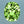Load image into Gallery viewer, Natural Custom Cut Oval Peridot (1.39 carats)