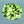 Load image into Gallery viewer, Natural Custom Cut Oval Peridot (1.39 carats)