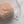 Load image into Gallery viewer, Scallop Hoop Earrings (Lab Grown)
