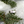 Load image into Gallery viewer, Men's Vertical Diamond Row (6mm)
