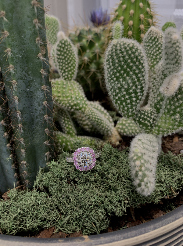 Pink Sapphire Cushion Halo
