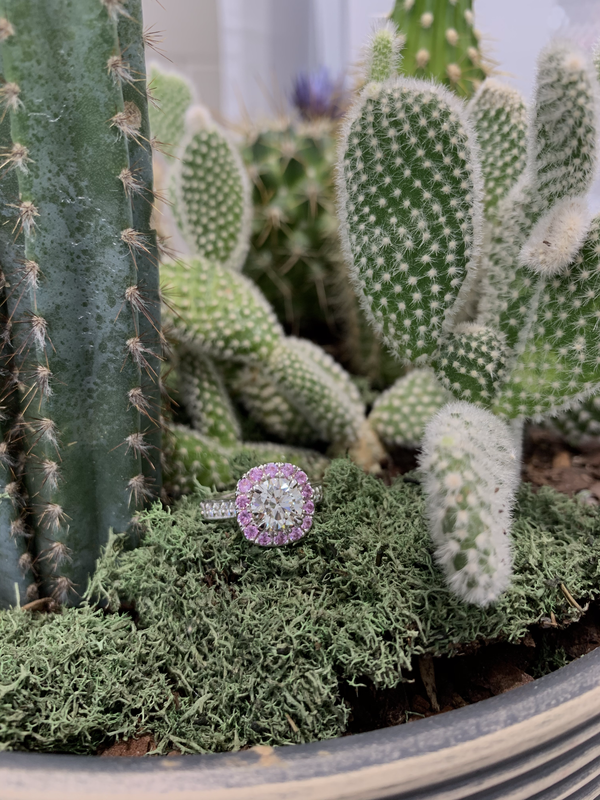 Pink Sapphire Cushion Halo