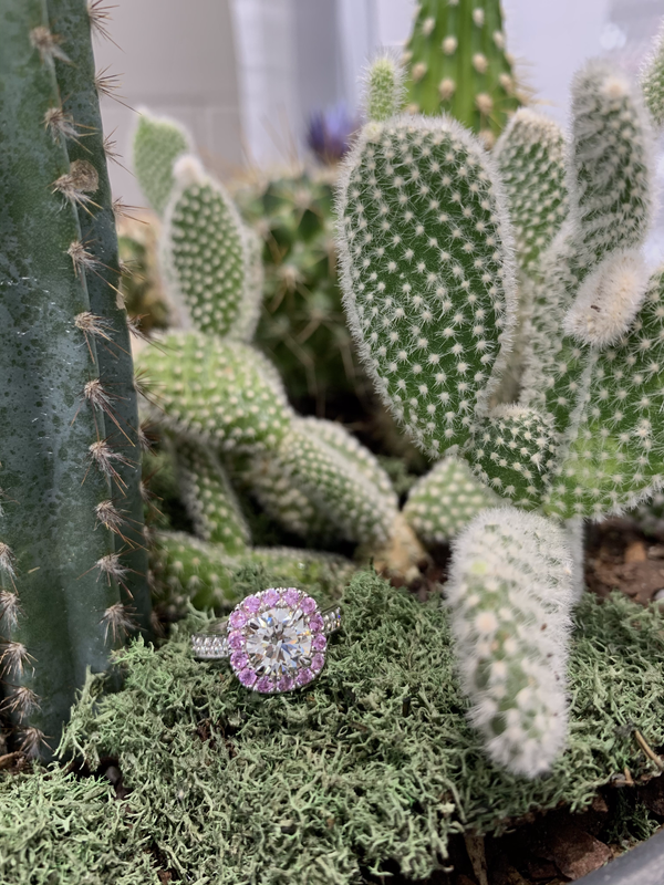 Pink Sapphire Cushion Halo